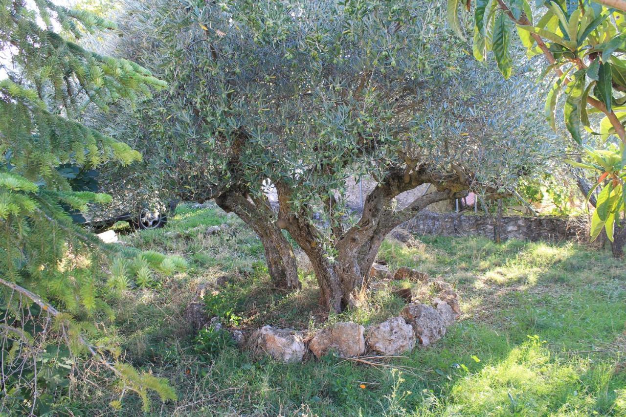 Casa Rural Baobab Romancos エクステリア 写真