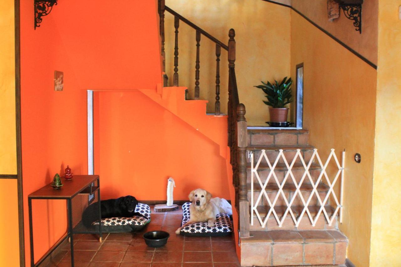 Casa Rural Baobab Romancos エクステリア 写真